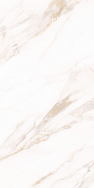 Classy Warm White Matte 24 x 48